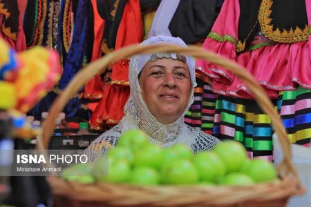 دانش نامه - جشنواره آلوچه در گوراب زرمیخ