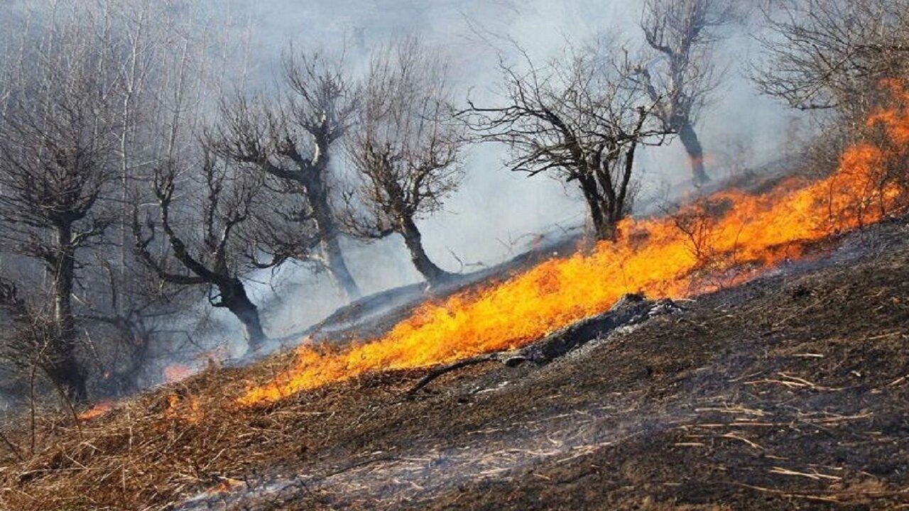 آتش سوزی در ۱۰ هکتار از مراتع روستای گاومیشان بوکان - خبرگزاری دانش نامه | اخبار ایران و جهان