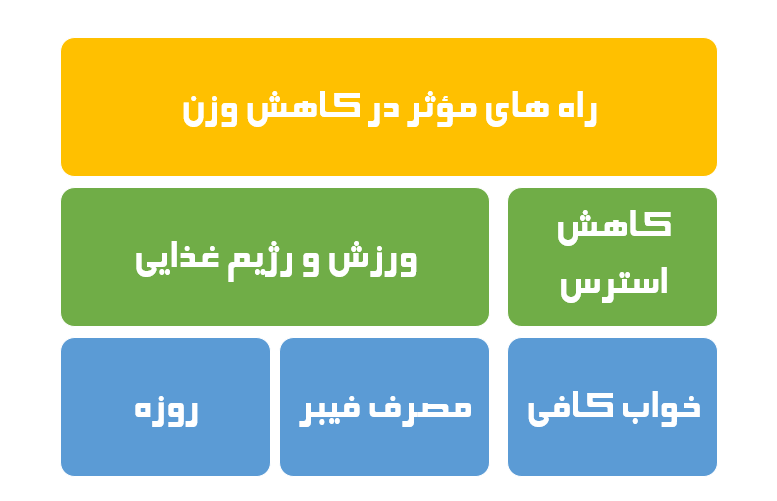 چطور در کوتاه ترین زمان لاغر شویم؟