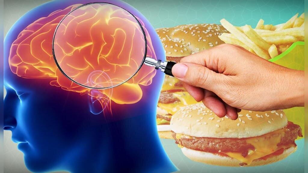 مختل شدن عملکرد مغز با مصرف فست فود ها