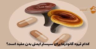 قهوه گانودرما و تقویت سیستم ایمنی بدن