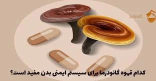 قهوه گانودرما و تقویت سیستم ایمنی بدن