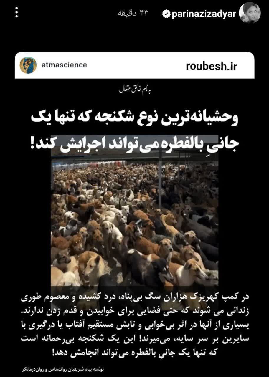 اعتراض شدید پریناز ایزیار به یک اقدام بی رحمانه