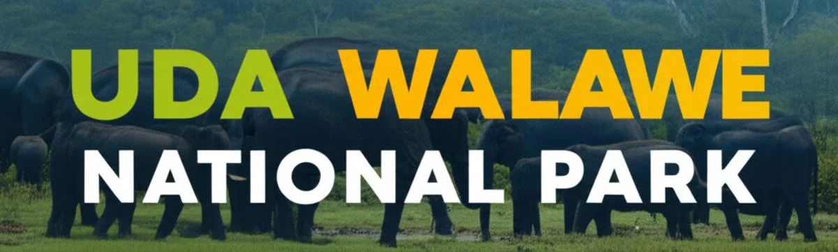 پارک ملی اودا والاوا Uda Walawe National Park