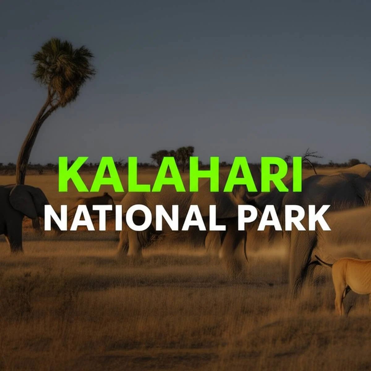 پارک ملی کالاهاری Kalahari National Park