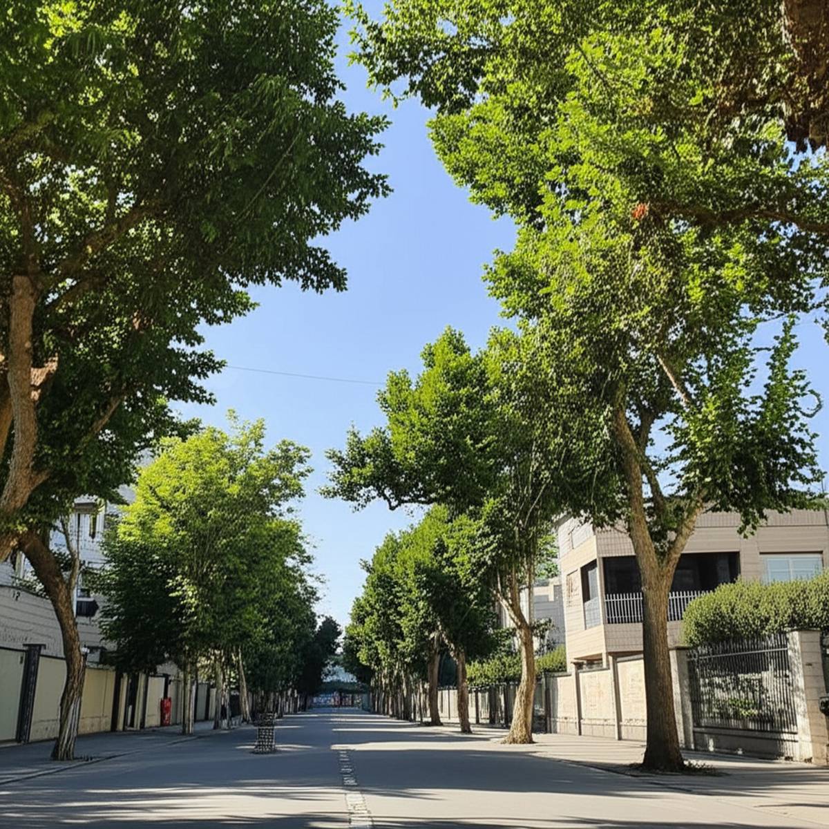 بهترین محله های گرگان برای زندگی