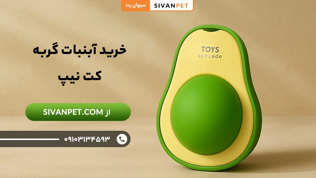 مزایای خرید آبنبات گربه کت نیپ
