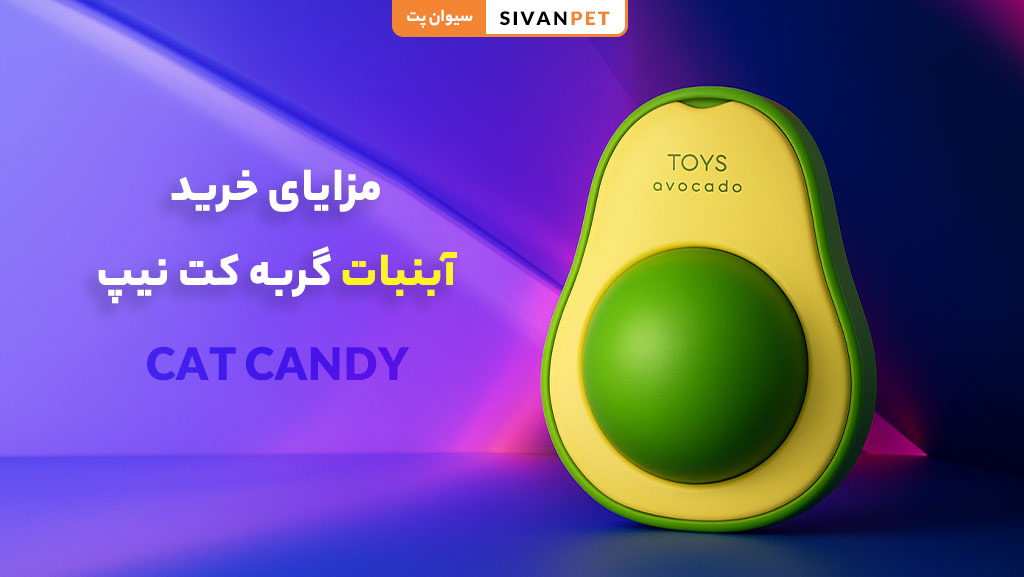 مزایای خرید آبنبات گربه کت نیپ از سیوان پت