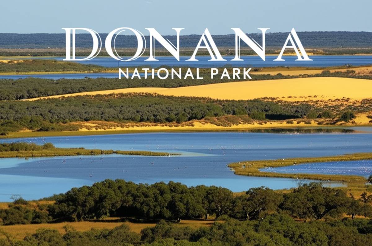 پارک ملی دونیانا Donana National Park | جاذبه ها و شگفتی ها
